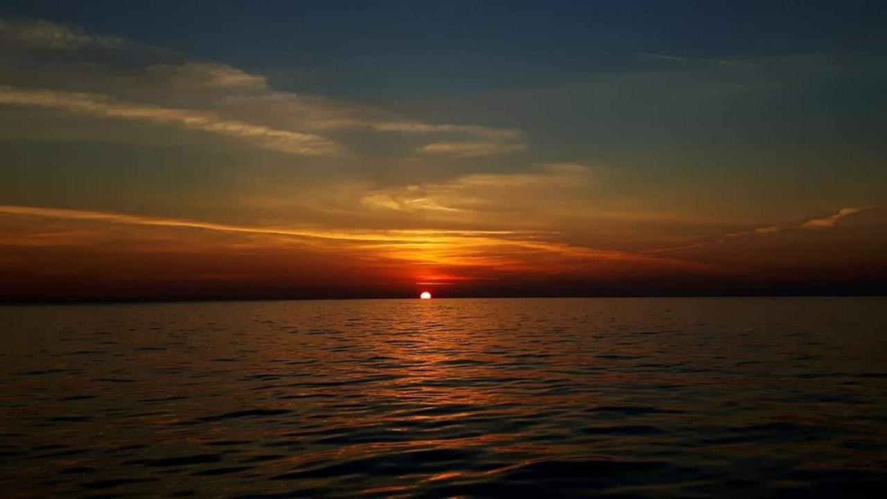 Luxe Lodges On Lake Erie بورت دوفير المظهر الخارجي الصورة